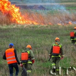 О Правилах безопасности в пожароопасный период напомнили работники ВДПО