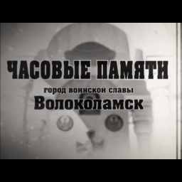 Часовые памяти. Город воинской славы Волоколамск